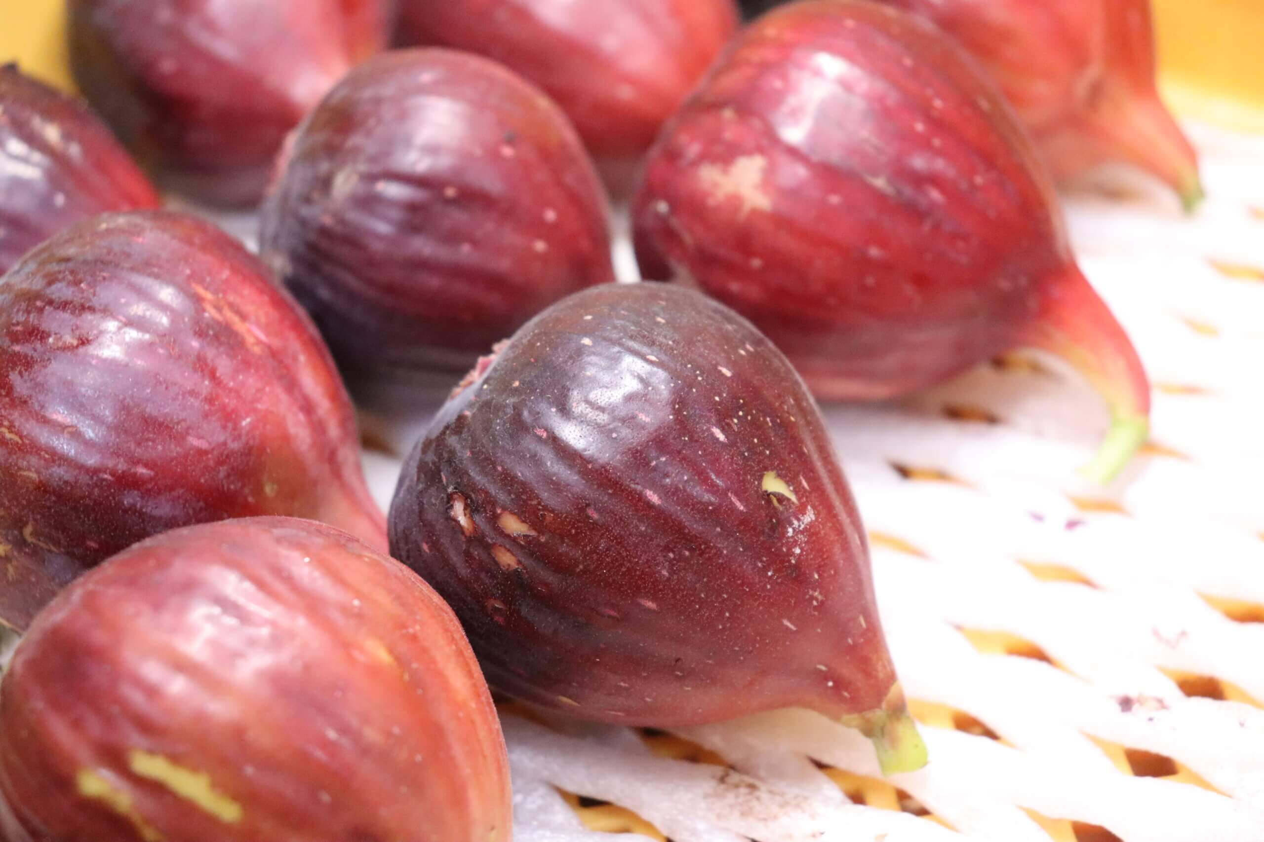 ハッピーファムのしあわせ無花果（桝井ドーフィン）