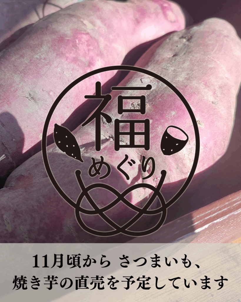 11月頃から、さつまいも、焼き芋の直売を予定しています。