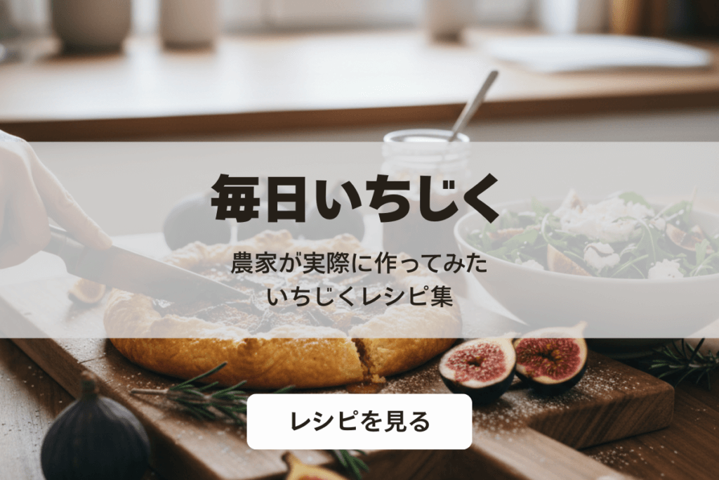 毎日いちじく　農家が実際につくってみた、いちじくレシピ
